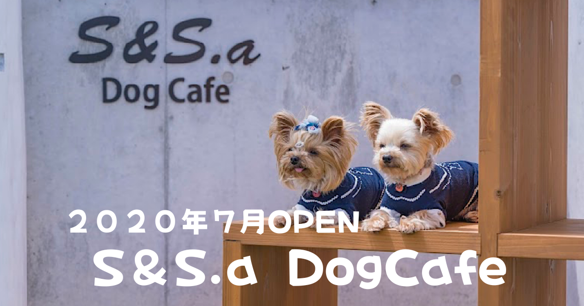 S S A Dogcafe 愛知県西尾市にスタイリッシュでわんこに優しいカフェはオープン 東海わんこスポット